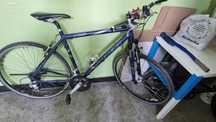 Rower Stevens  28"