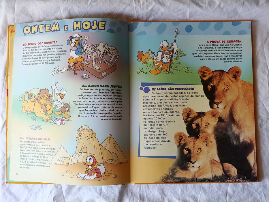 Disney - Os Leões - Mundo Maravilhoso dos Animais