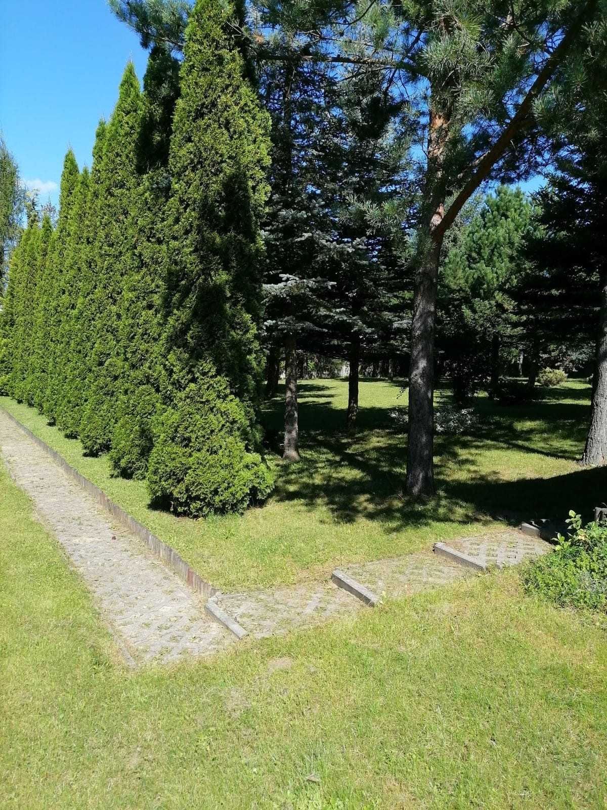 Piękna widokowa działka na Jurze