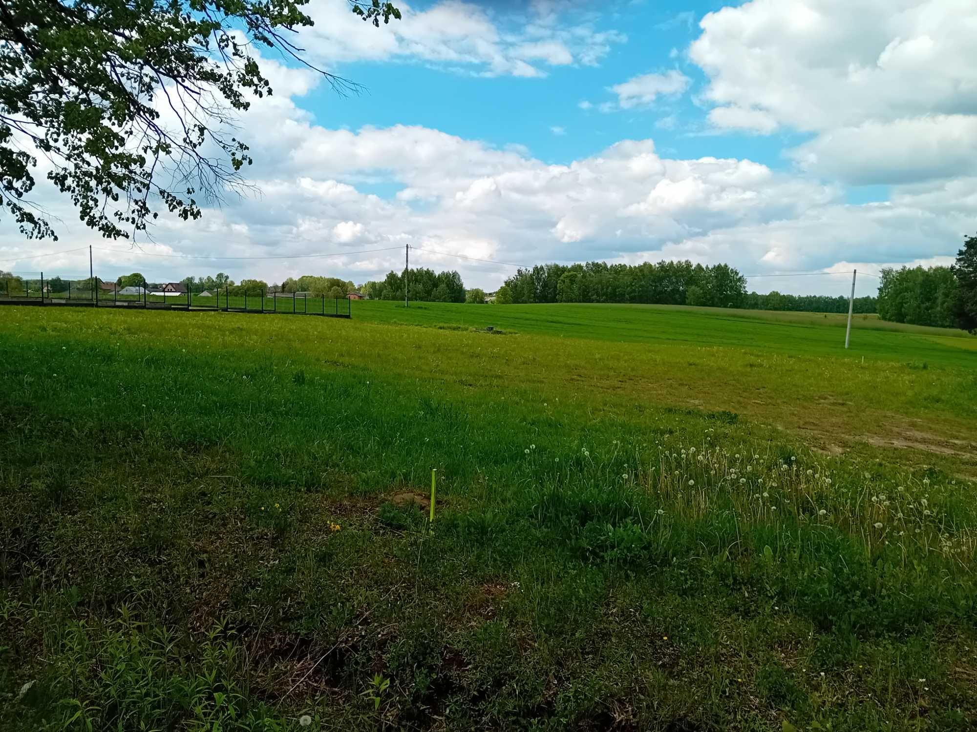 Działka budowlana 1200m2 Goździk.
