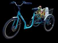 Triciclo de Carga Elétrico