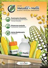 Metodus + metos + Izosafner herbicydy pod kukurydzę