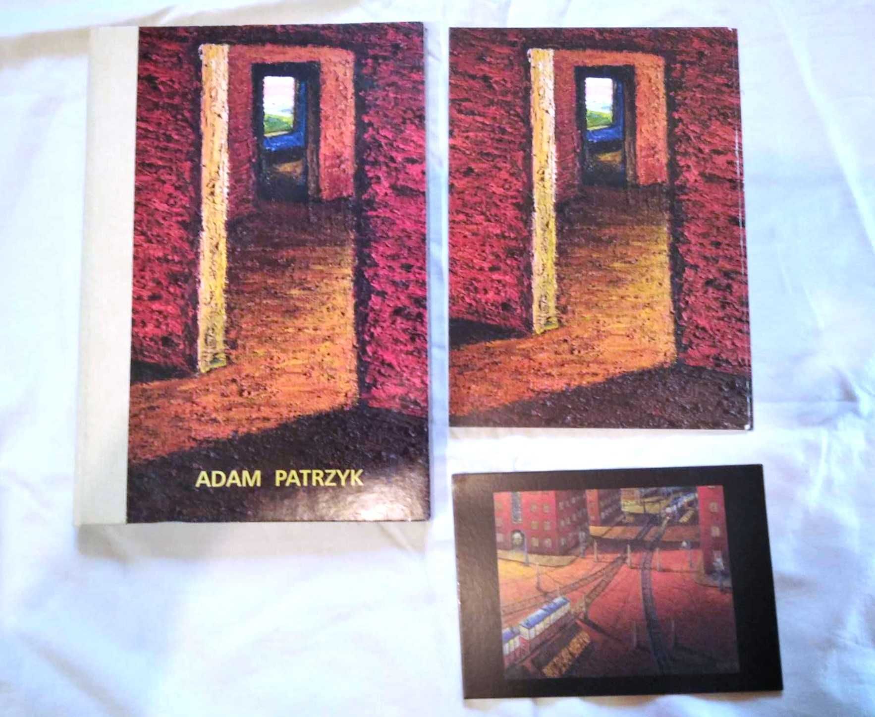Adam Patrzyk Bezsenność Insomnia - katalog, album, malarstwo polskie
