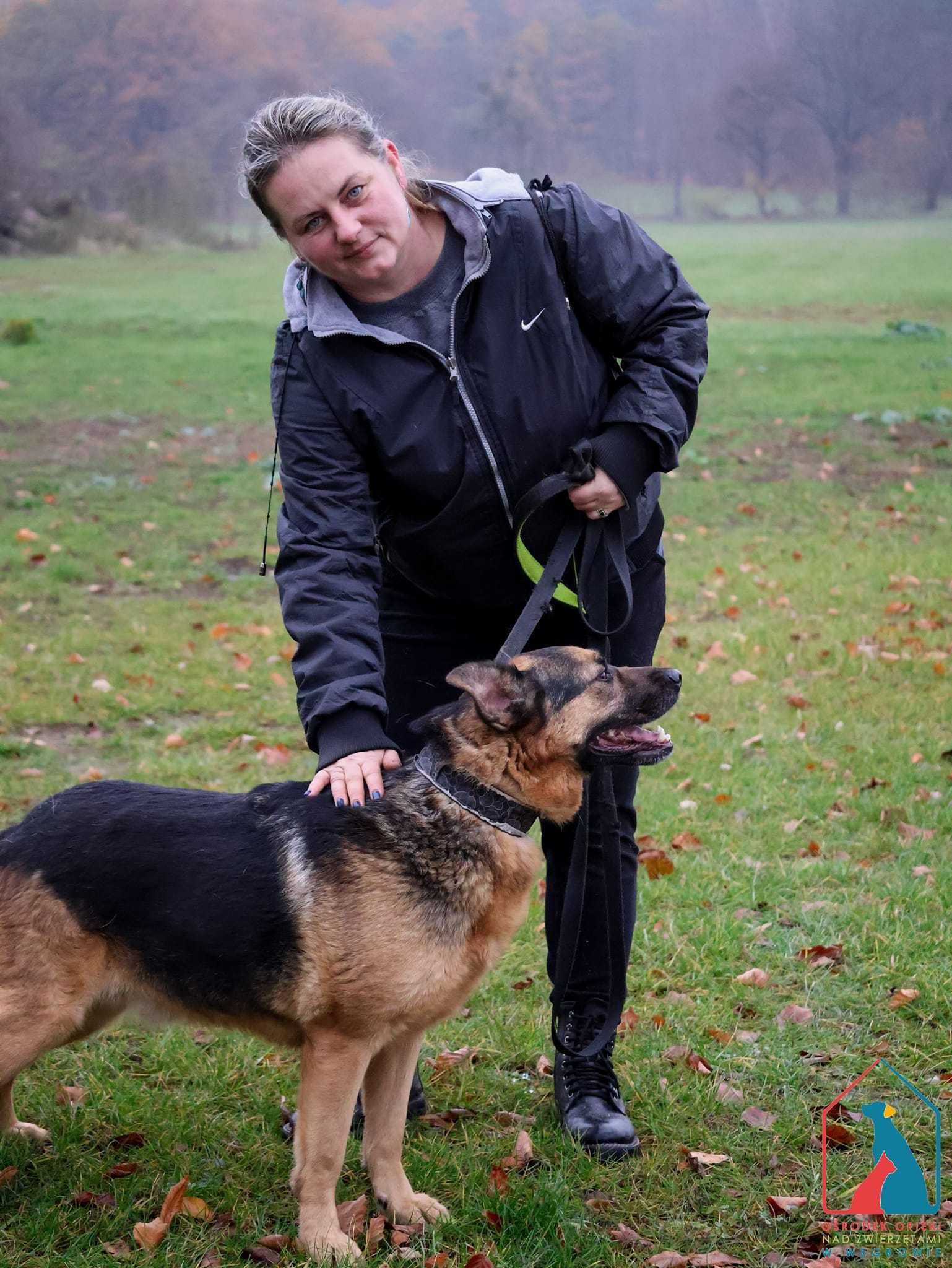 Duży, piękny, wesoły i aktywny - pełen radości i OPTYMIZMU - adoptuj