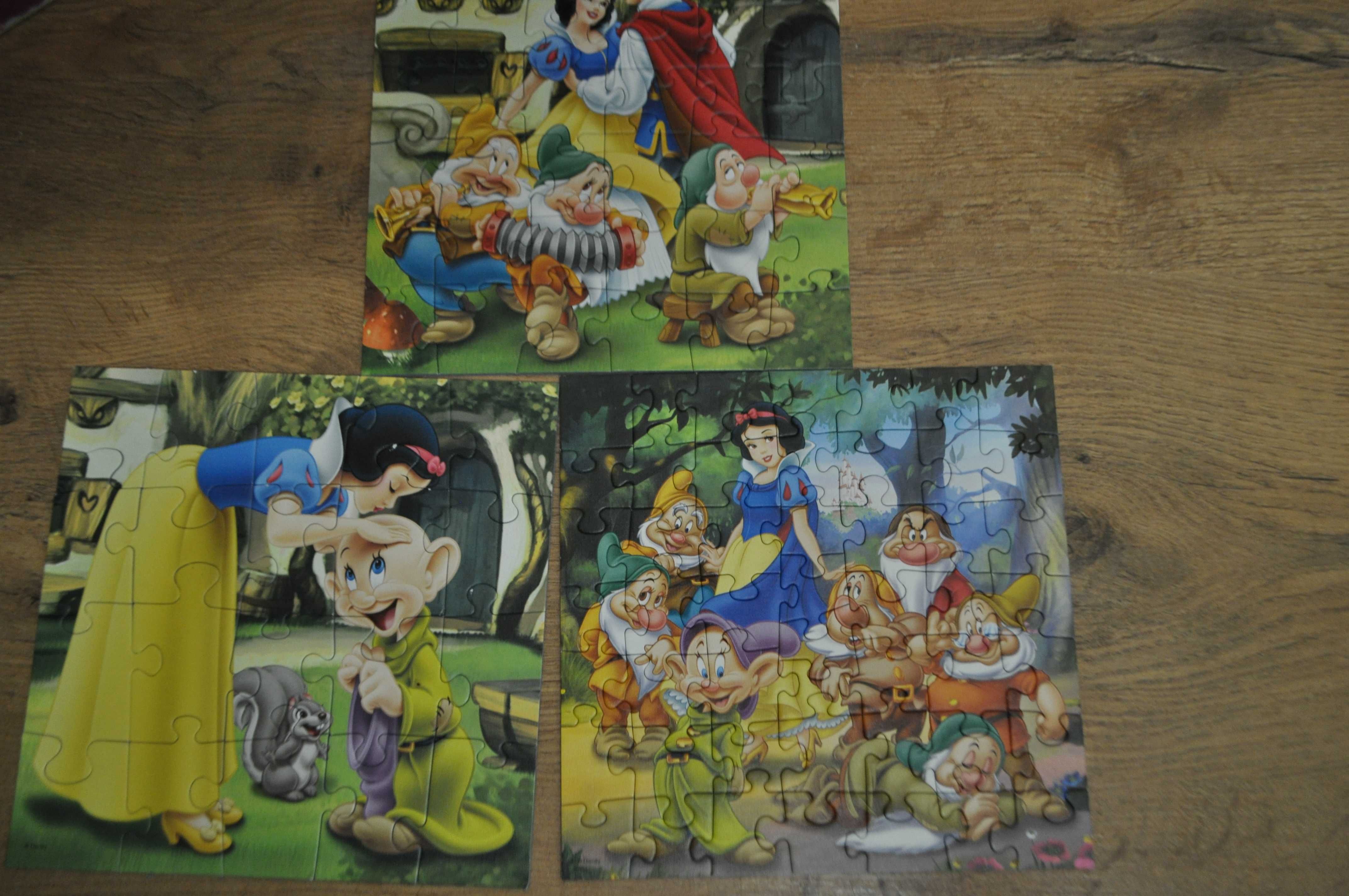 Trefl puzzle Disney Princess  3 układanki 20,36 i 50