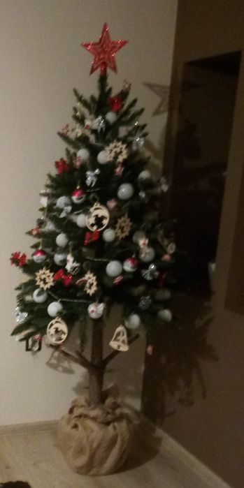 Choinka na pniu 170cm