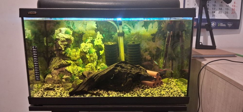 Sprzedam akwarium 70l