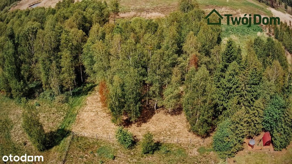 Nieruchomość gruntowa w Szczechach Małych