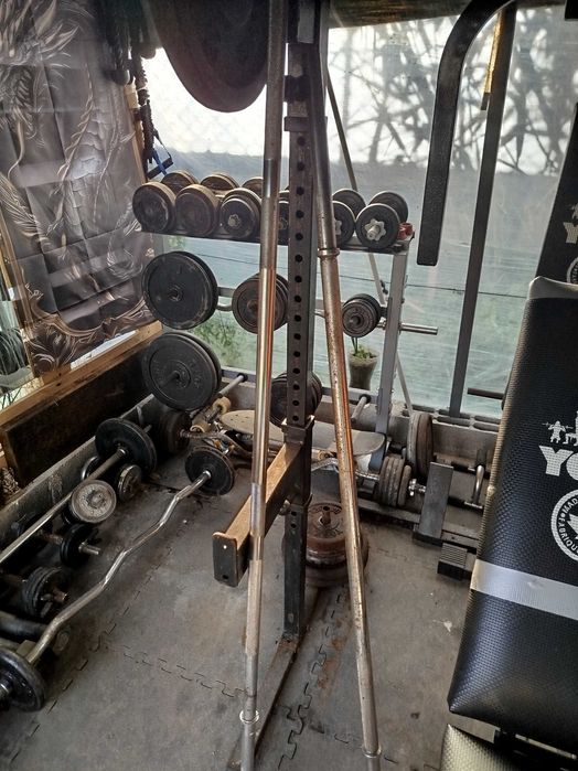 Artigos de musculação