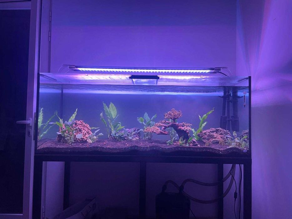 Aquário Scalare 400L