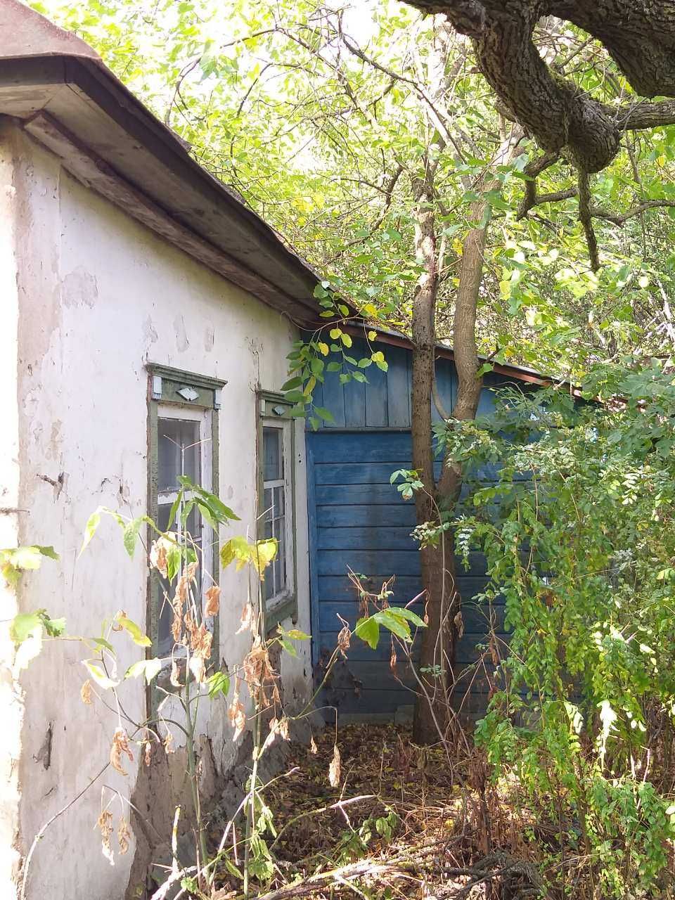 Будинок з ділянкою в с. Вельбівка Гадяцького р-ну Полтавської обл.