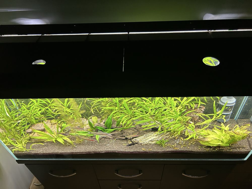 Akrarium 240l diversa + eheim professionel 3e