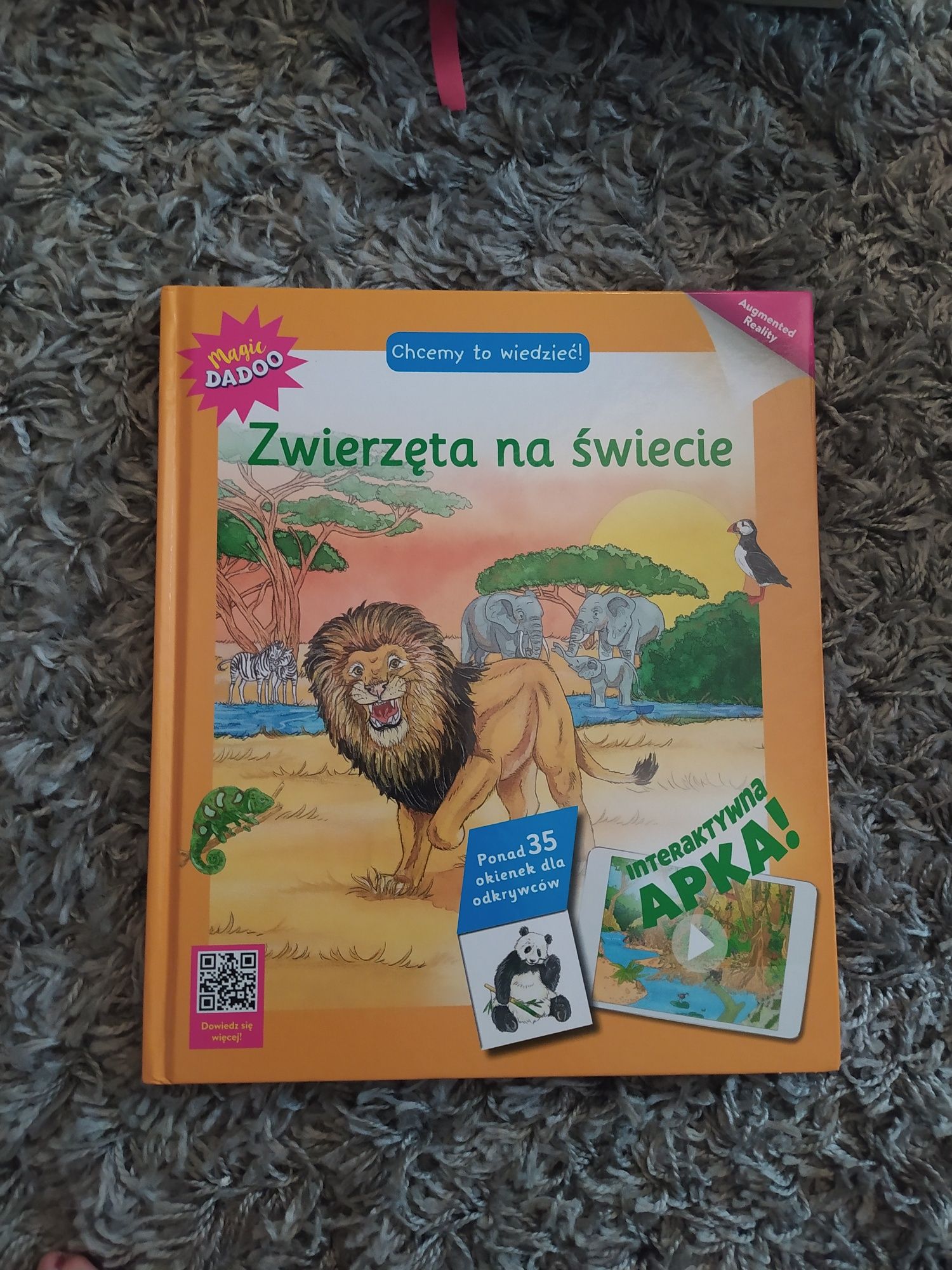 Książka dla dziecka zwierzęta na świecie magic dadoo