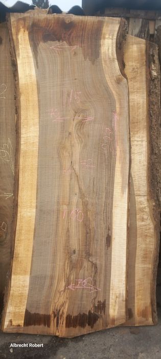 Слеб,сляб,дошка,горіх грецький