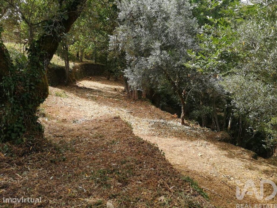 Terreno em Pedrógão Grande de 1800,00 m2