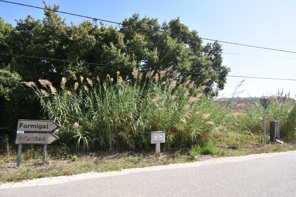 Terreno à venda em Rua Principal - TORRE