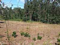 Terreno para construção