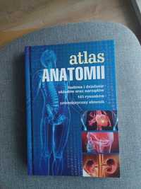 Atlas anatomii budowa i działanie układów oraz narządów 165 rysunków