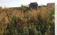 Человек который хочет стать фермером