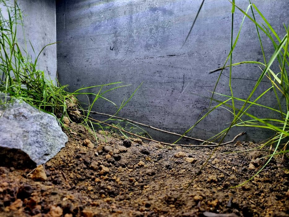 Terrarium 80x50x50 dla żółwia lądowego