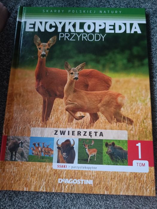 Encyklopedia przyrody zwierzeta rośliny