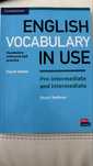 English Vocabulary in USE