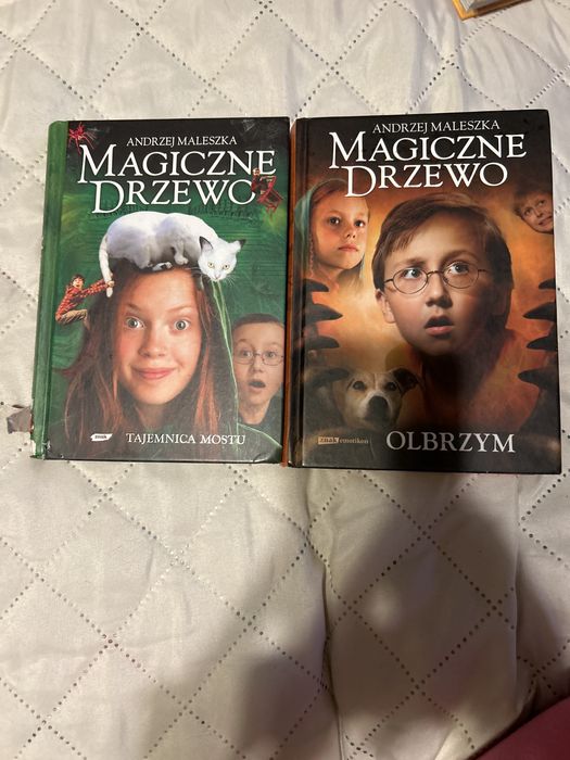 Magiczne drzewo Olbrzym ,Tajemnica mostu