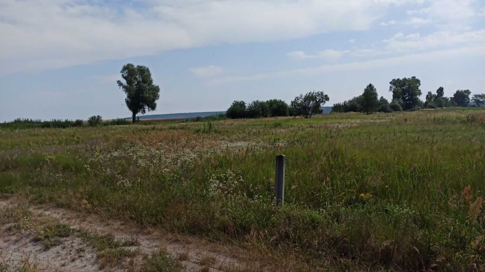 Продам свою земельну ділянку с. Синяк, Київська область, Бучанський рн