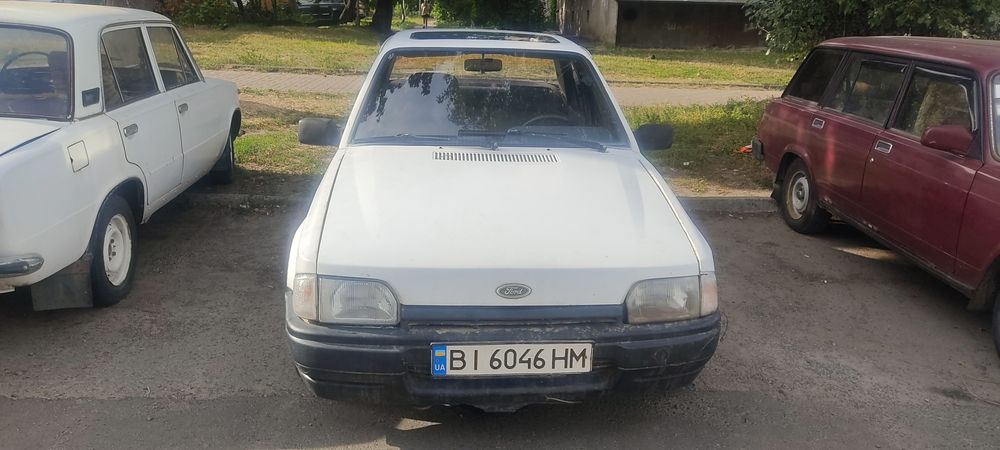 Продам хорошого фордіка