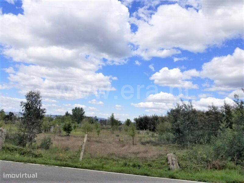 Terreno / Gouveia, Moimenta da Serra e Vinhó