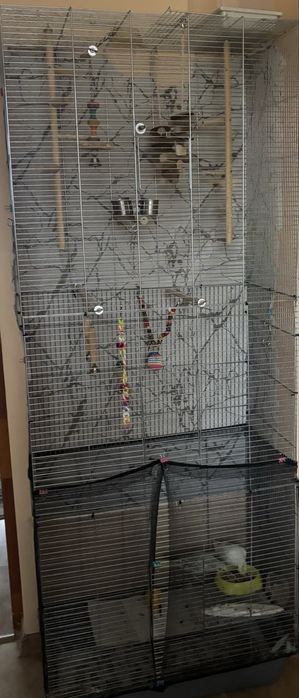 Klatka z 2 papugami nimfami