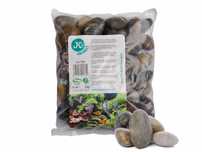 Kamyki kwarcu mix 2KG