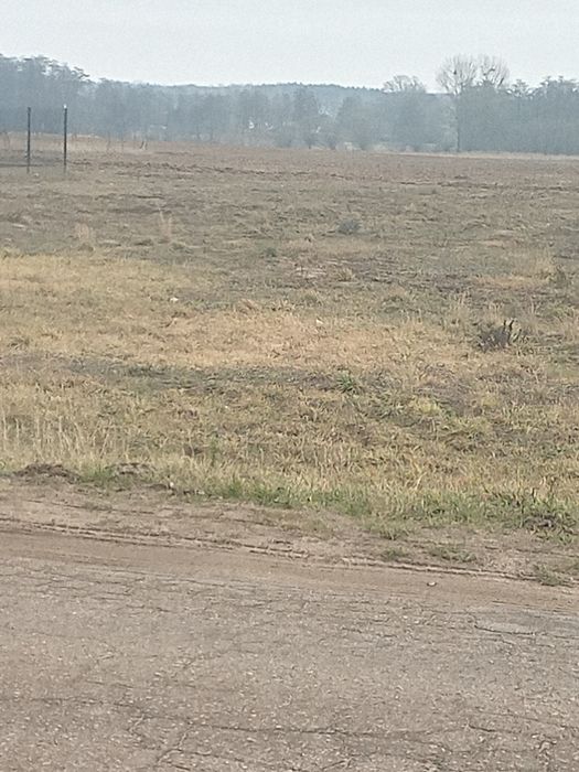 Działki na sprzedaż
