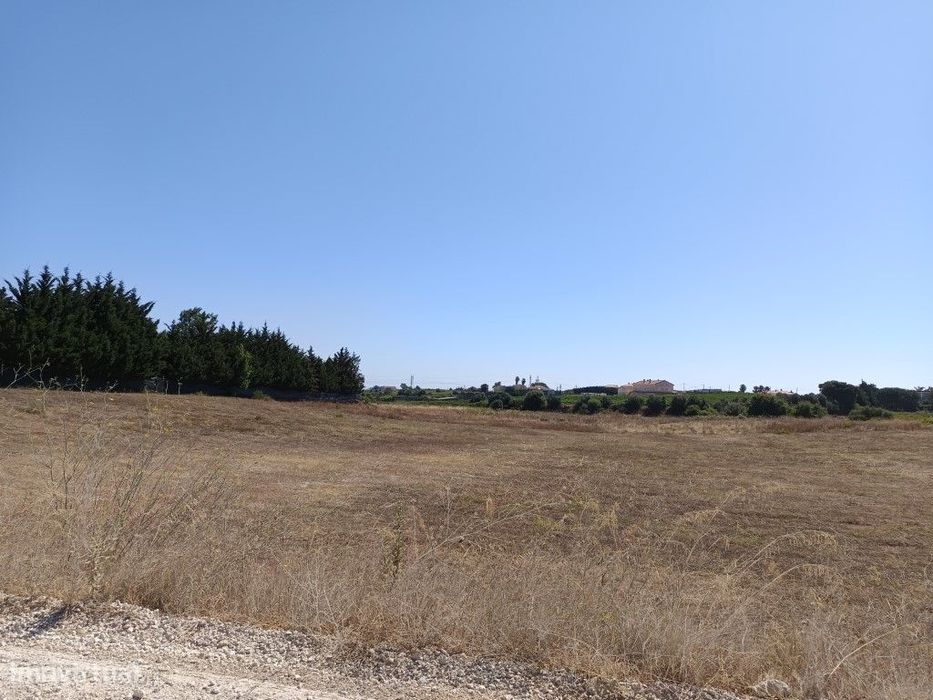 Terreno para Venda em Palmela