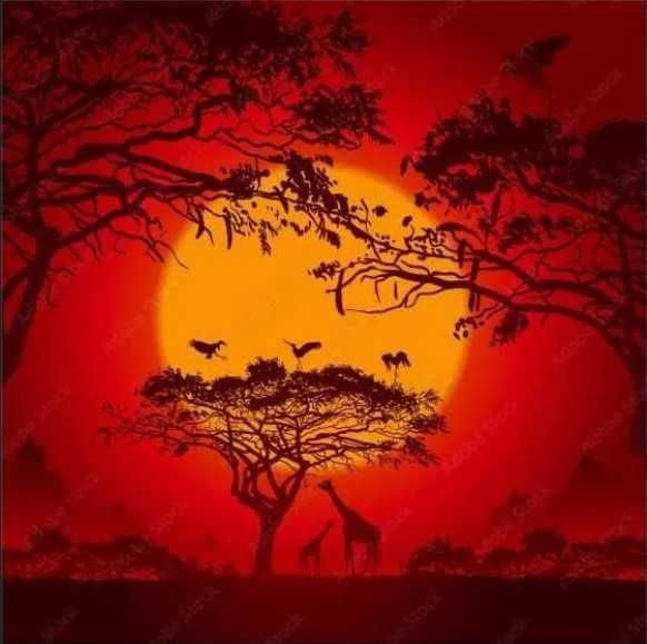 afrykański zachód słońca obraz płótno canvas 40x40 pejzaż