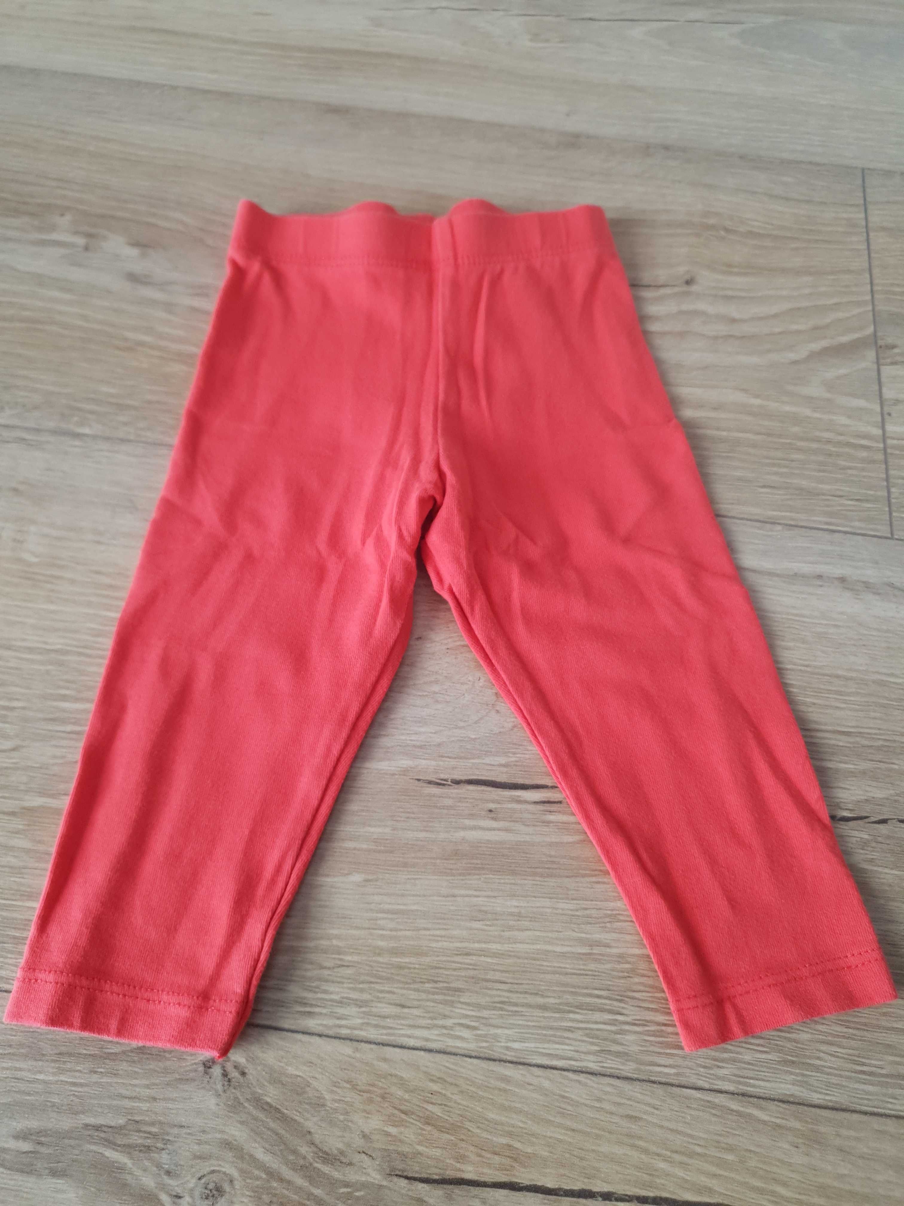 Spodenki / legginsy 5 sztuk 68