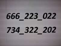 złoty , prosty numer  666_223_022 , 666_306_076
