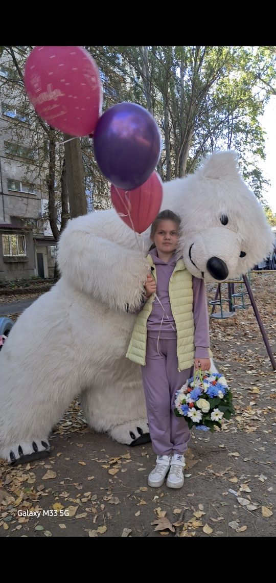 Мишка аниматор панда аниматор  мишка  Одесса