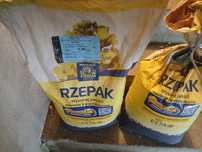 Rzepak Kepler populacja