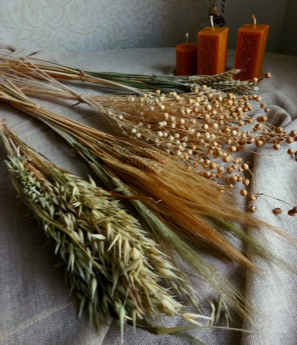 Набір для дідуха,  пшениця, овес,  ячмінь,  льон, просо, свічки з воск