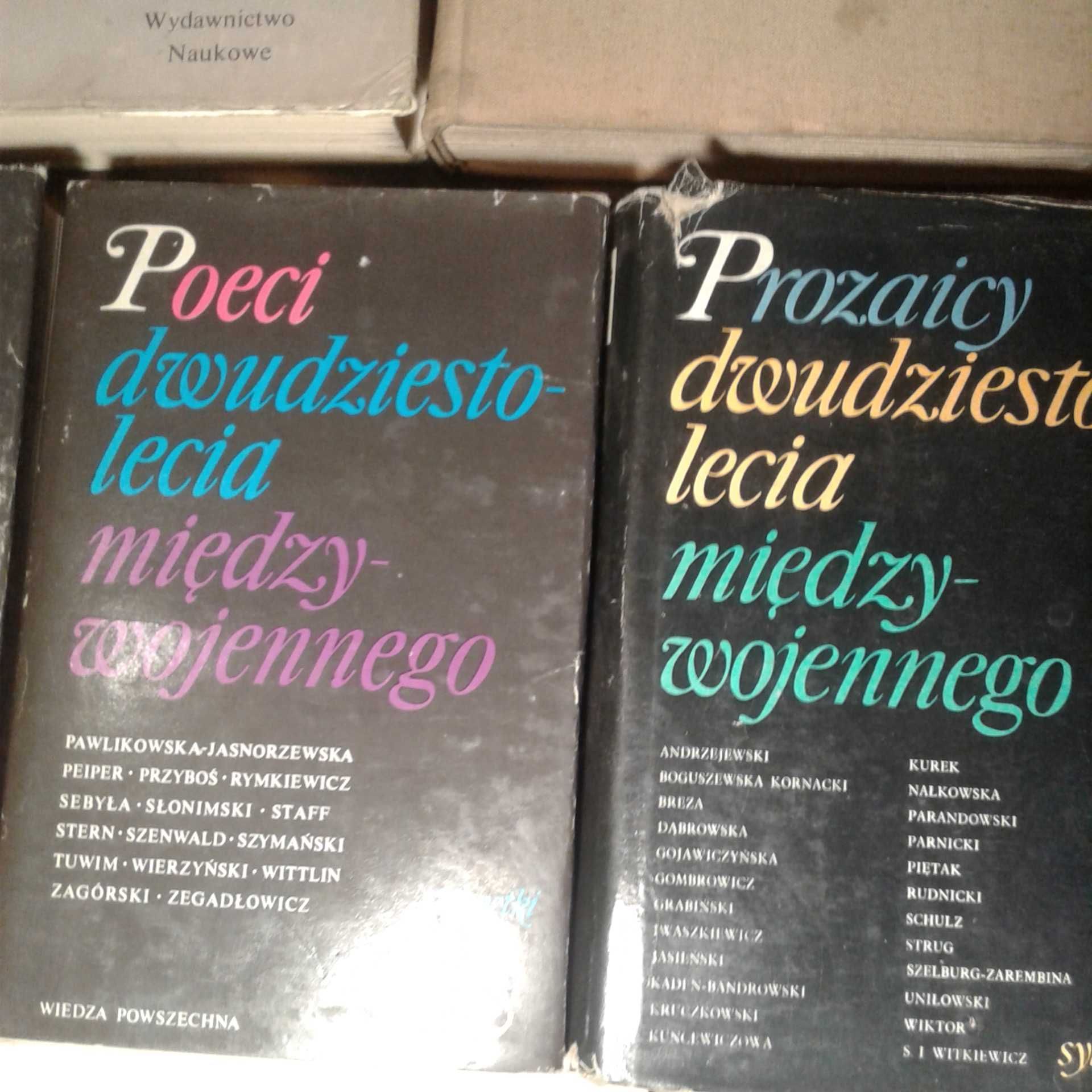 Polonistyka literaturoznawstwo zestaw 22 książek