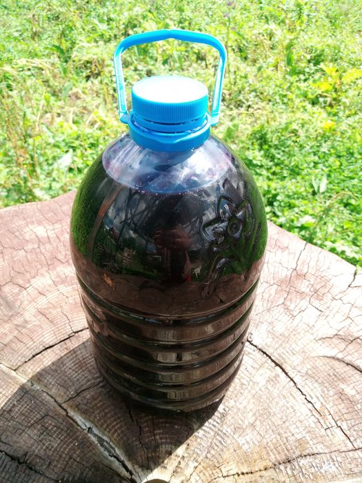 Сироп з Карпатських Чорниць