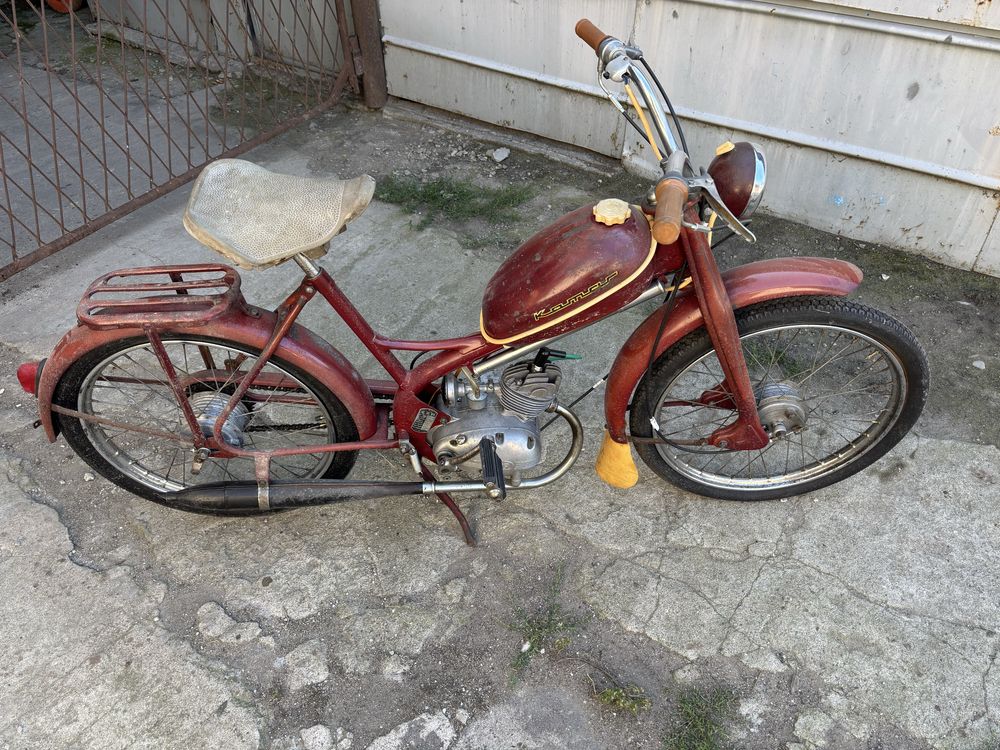 Komar 231 w oryginale
