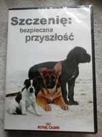 Szczenię bezpieczna przyszłość cd płyta poradnik royal canin