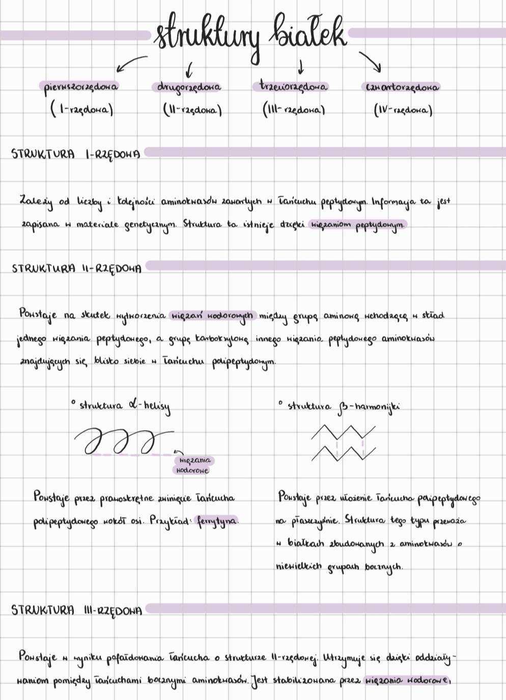 NOTATKI Z BIOLOGII ROZSZERZONEJ -liceum/matura/szkoła średnia