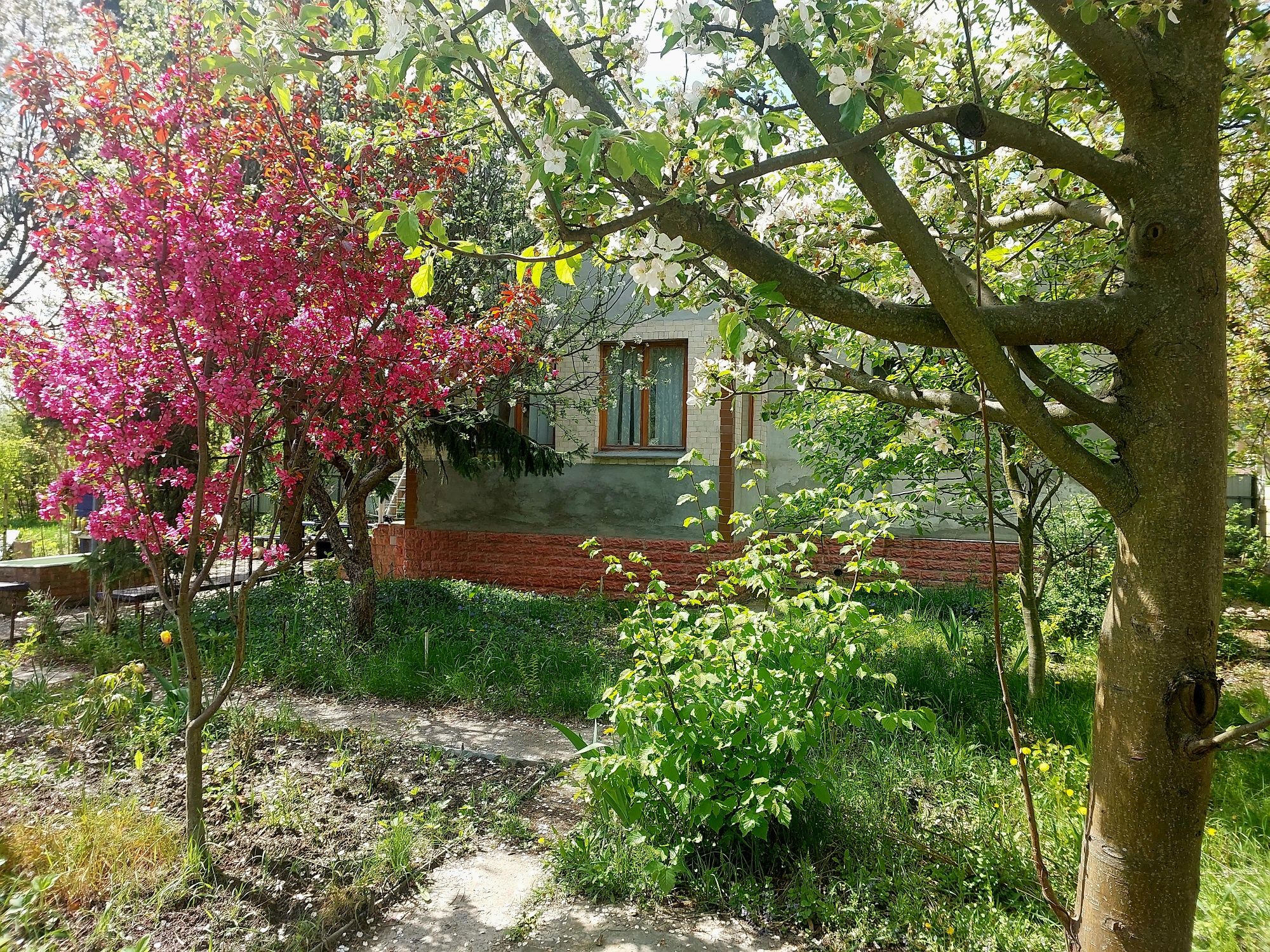 Будинок, Дача в Романкові, 15 км від Києва