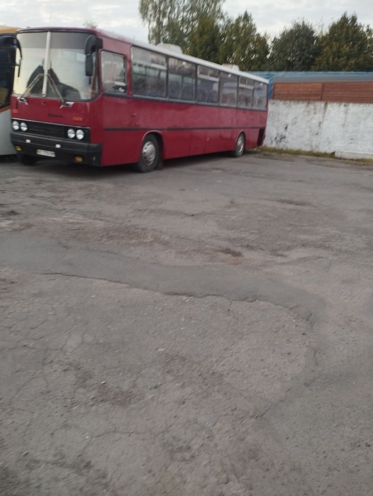 Автобус Ікарус на ходу