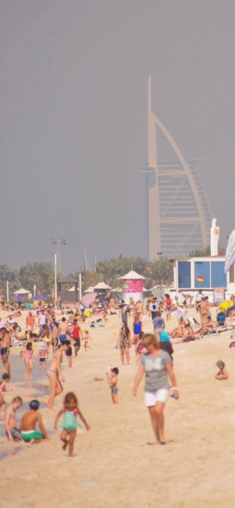 Muszle muszelki z plaży w Dubaju