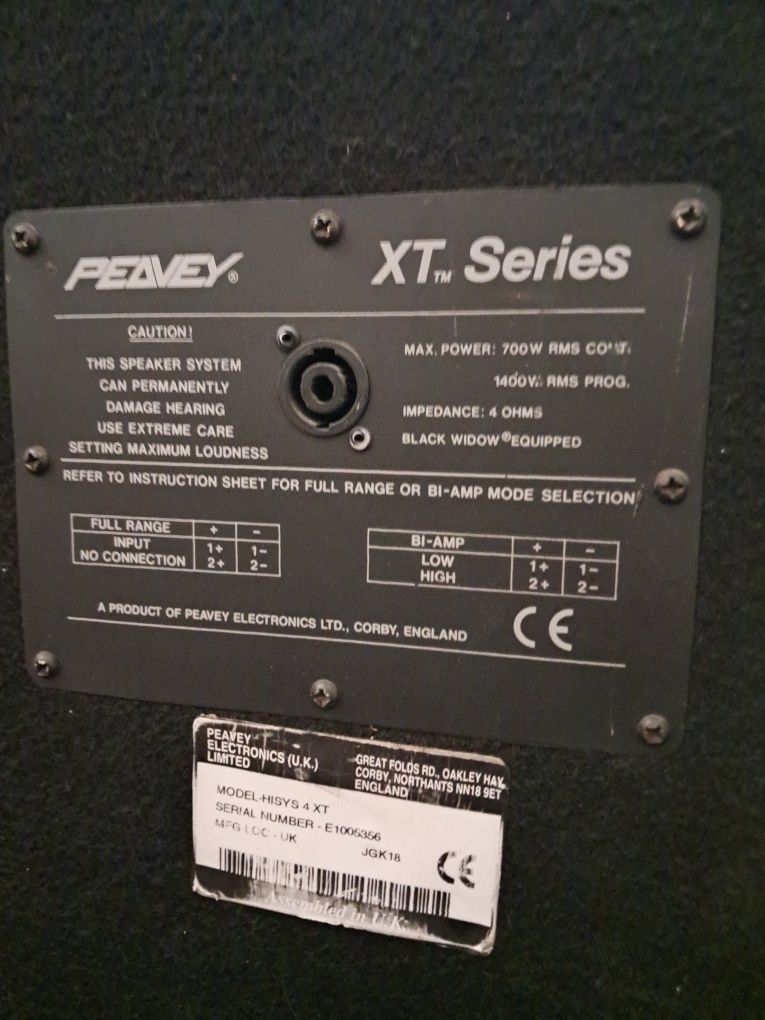 Colunas profissionais Peavey 700 RMS