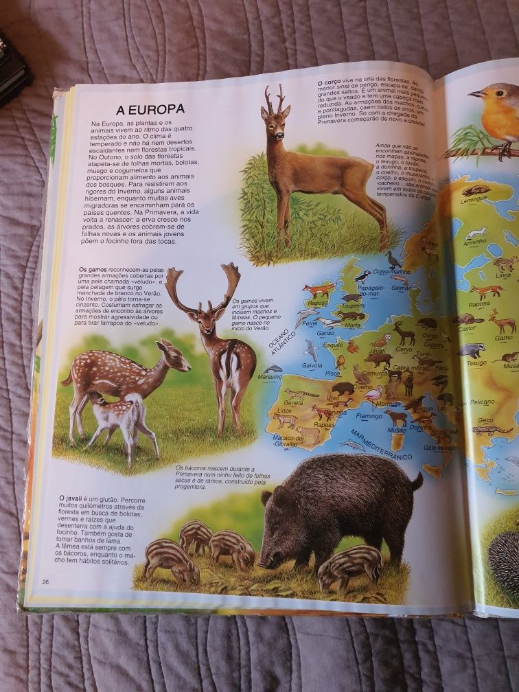 Livro Atlas dos Animais